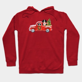 Bernese Mt Dogs Red Christmas Truck Hoodie